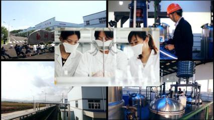 企业工厂生产-香料产品_MP4_6下载(编号:1828969)_实拍视频